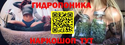 mdpv Гусиноозёрск