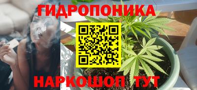 стаф Гагарин