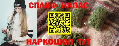 стаф Гагарин