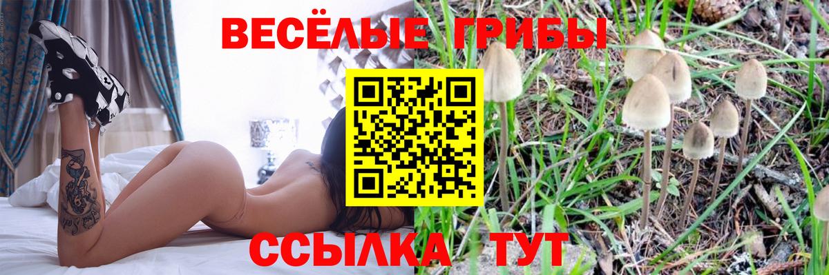 Рязань  Псилоцибиновые грибы Cubensis  Псилоцибиновые грибы прущие грибы  Вход с VPN 